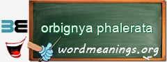 WordMeaning blackboard for orbignya phalerata